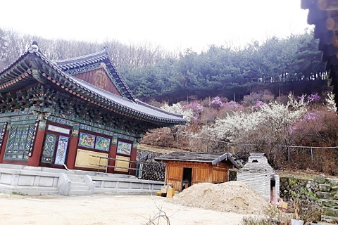 대한불교마트 이미지