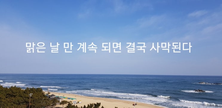  맑은 날만 계속되면 결국 사막 된다