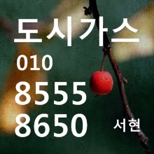  독산동 도시가스 공사 독산 주택인테리어 아파트 주방리모델링 독산1동 배관설치 시설철거 시공업체 2동 3동 4동 범안로 두산로 독산역 