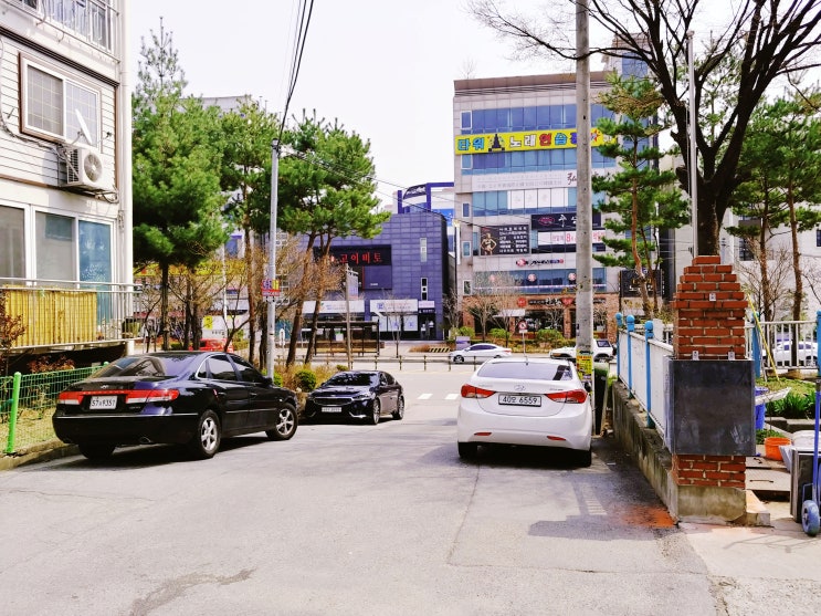  청주골목식당 김치찌개 청국장 숨은맛집발견