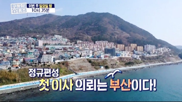  구해줘 홈즈 첫방 라인업 관전포인트 부산 달맞이길 황보라 활약 기대되는 이유