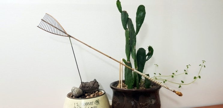  신우대 견지낚시대