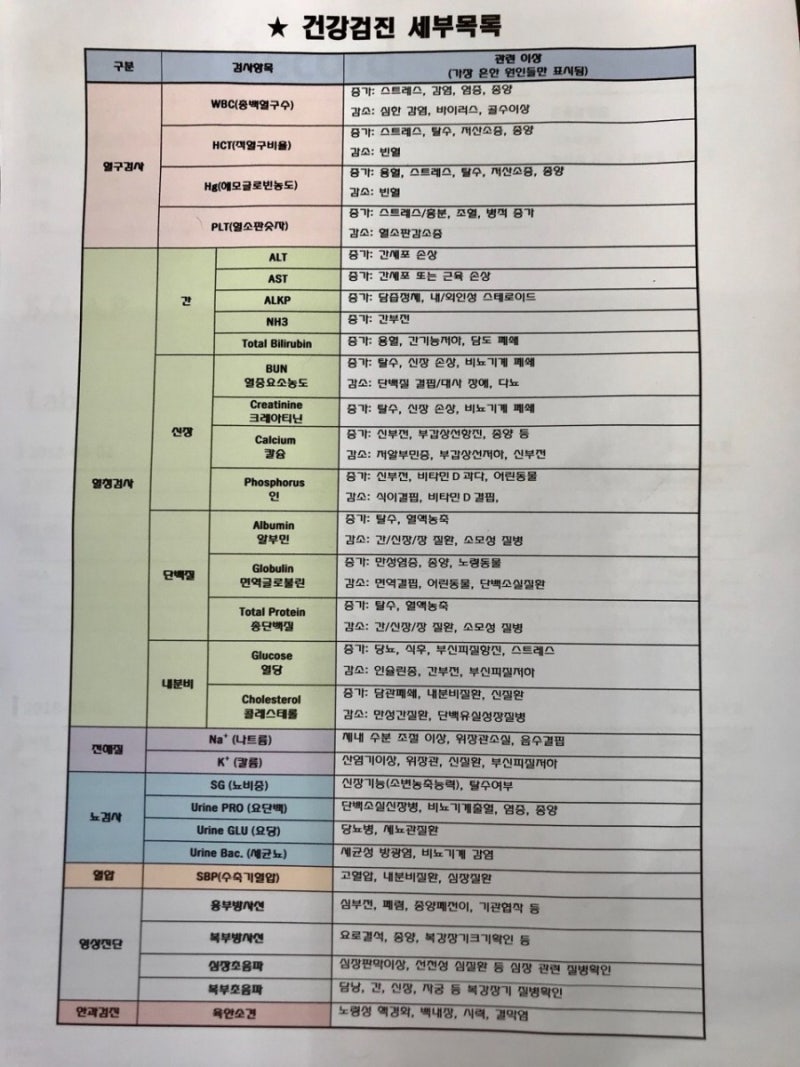 고양이 복막염 6주(42일) FIP 신약 GS441524 치료일지