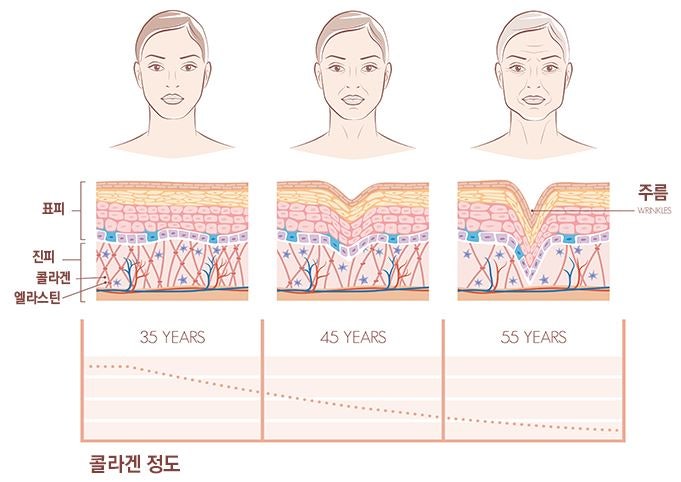 "저분자 피쉬콜라겐 효능, 이게 무엇일까요?"