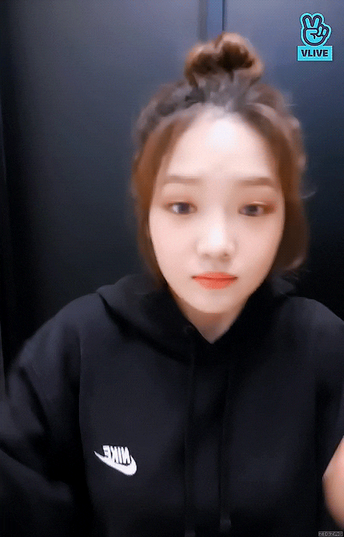  프로미스나인 노지선 브이라이브  움짤(feat.이서연)