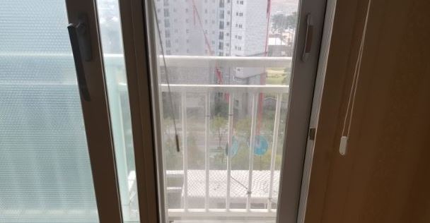  비둘기퇴치 해야해요~ 확실하게요!