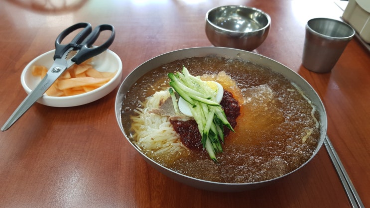  포항 상도동 밀면만두 현대밀면 전문점 특이한 밀면 만두집