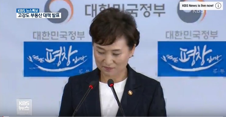  101 부동산대책은 베타테스트용 같다.