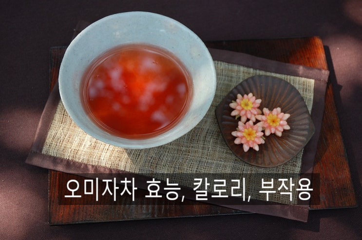  5가지 맛을 내는 오미자차 효능, 칼로리 그리고 부작용에 대해서 알아봐요