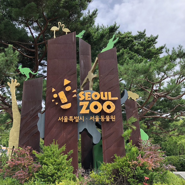  서울대공원 동물원 아기랑 갈만한 곳(+입장료/주차비/식당)