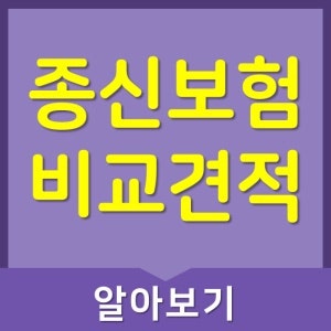 종신보험의 올바른 사용법 이해하기
