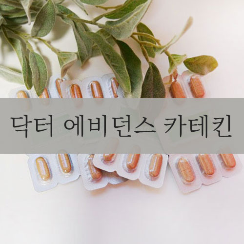  체지방 줄이기 : 닥터 에비던스 카테킨으로 체지방률 감소 도전