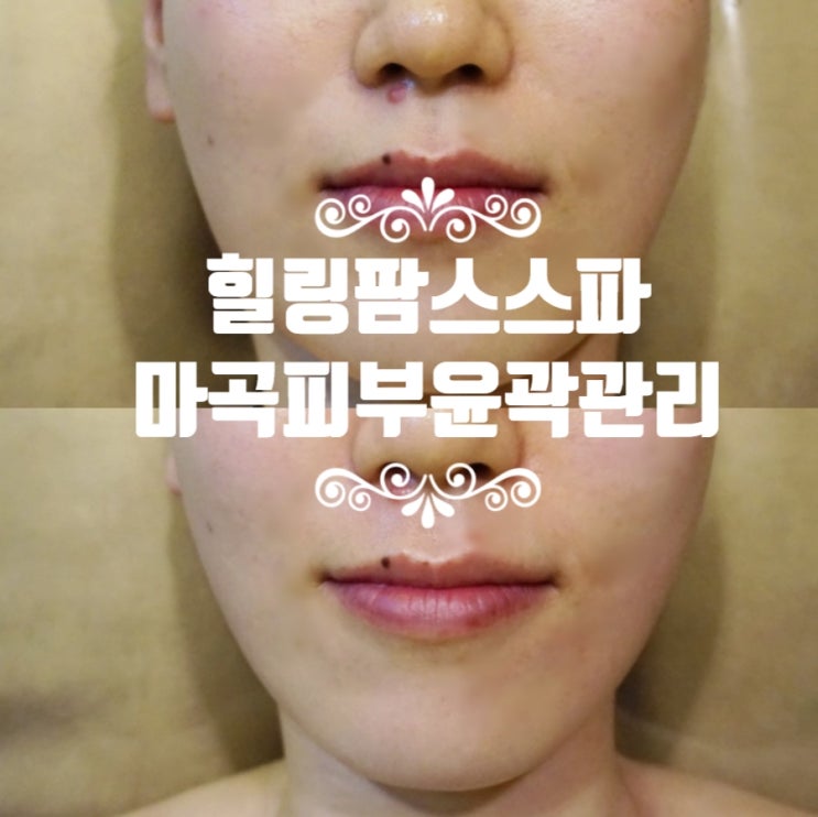  마곡 피부관리/마곡 힐링스파 '힐링팜스스파'에서 수기윤곽테라피 받고왔어요!!