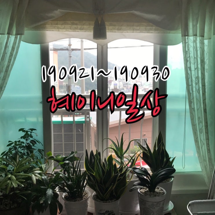  0921~0930 일상기록/초보운전,프레시지,인계동껍데기,택배전쟁,운전연수,에어백리콜,이웃집,참치,대남포차,타로밀크티,쿠우쿠우,커플링,그것이알고싶다,건후