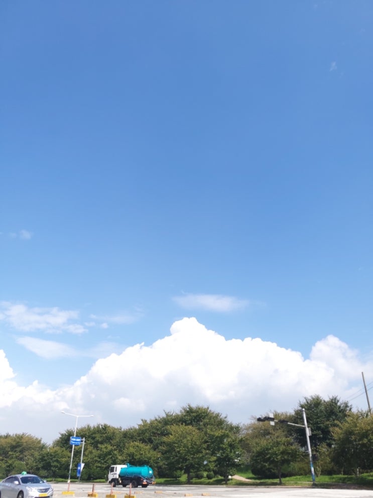  울산 방충망