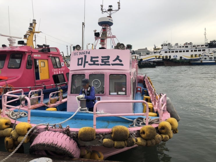  인천 마도로스호 쭈꾸미낚시 솔직후기! 생애 첫 낚시ㅋㅋㅋ
