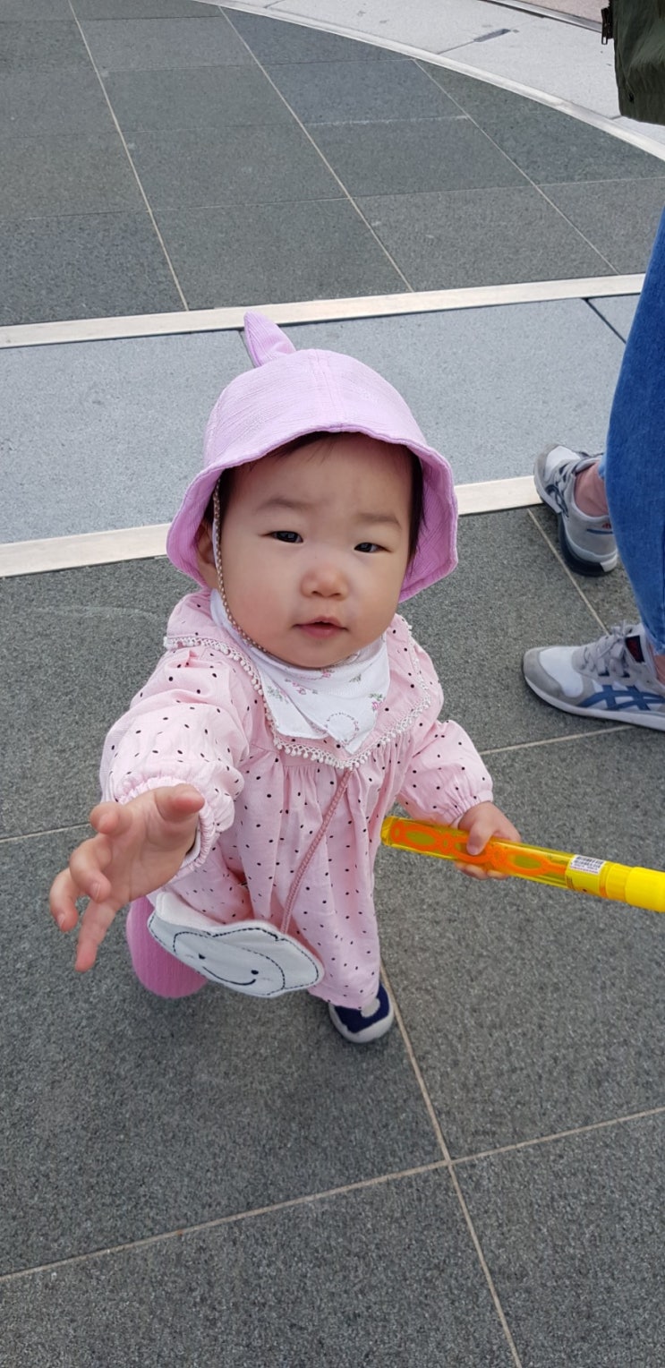  국군의 날
