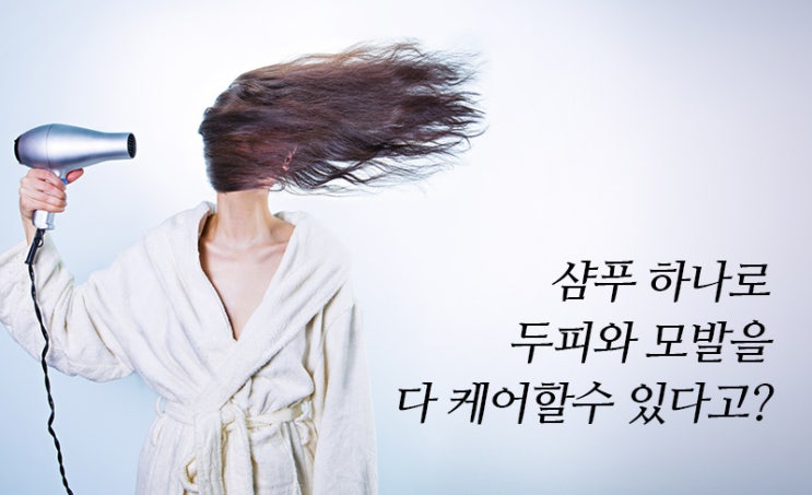  순수예감 미친 단백질 탈모샴푸 성분 파헤치기
