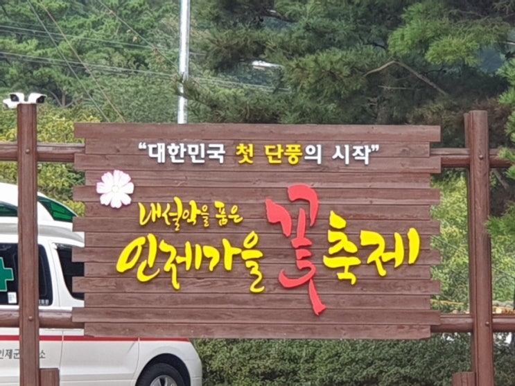  강원도 가을 축제 내설악을 품은 인제가을꽃축제 방문후기
