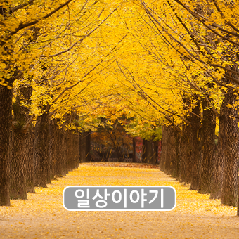  지하철 타고 가을 핫플레이스 탐방기! 노선별 가을 명소 추천~