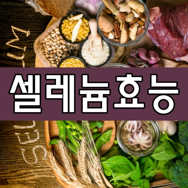  셀레늄 효능, 풍부한 음식 총정리!