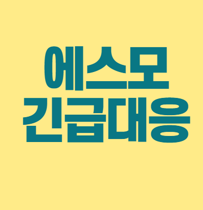  에스모주가 전망 자율주행 반대매매 정신차리자
