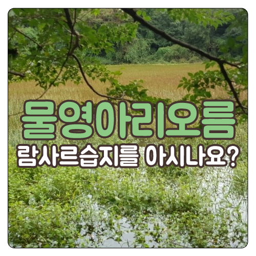 물영아리오름 람사르습지를 아시나요?