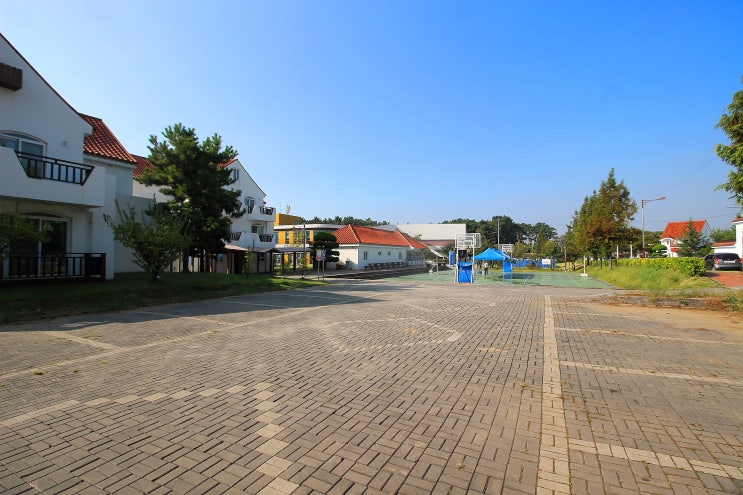  장항 스카이워크와 송림산림욕장,바다옆 명품숲