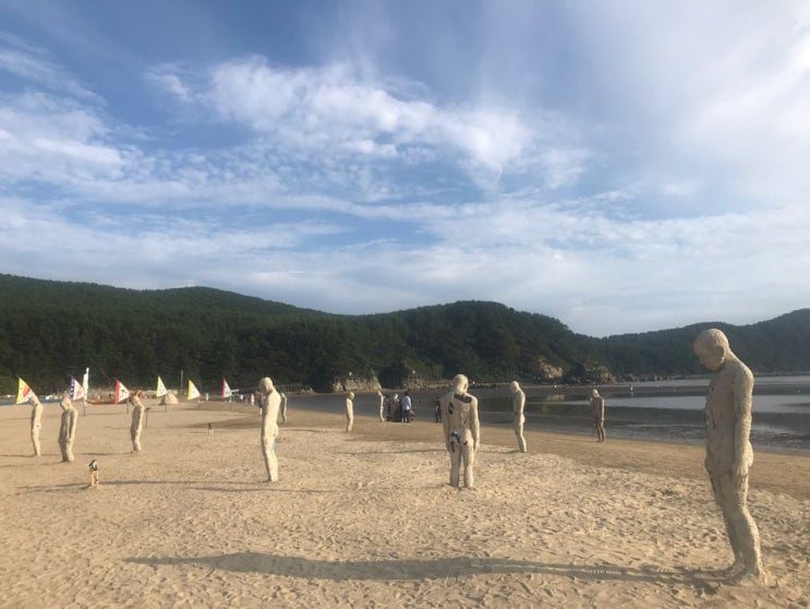  2019 바다미술제 :: 상심의 바다 Sea of Heartbreak