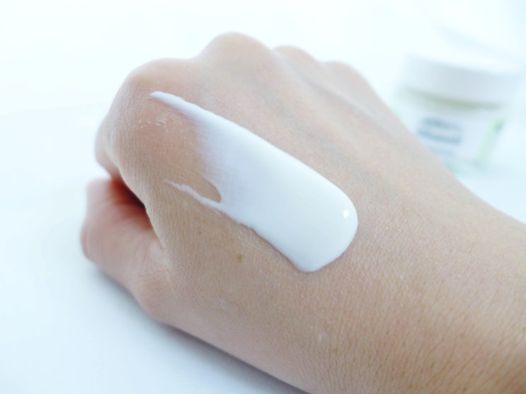  올리브놀 인텐시브크림 독일약국화장품 좋긴좋네요