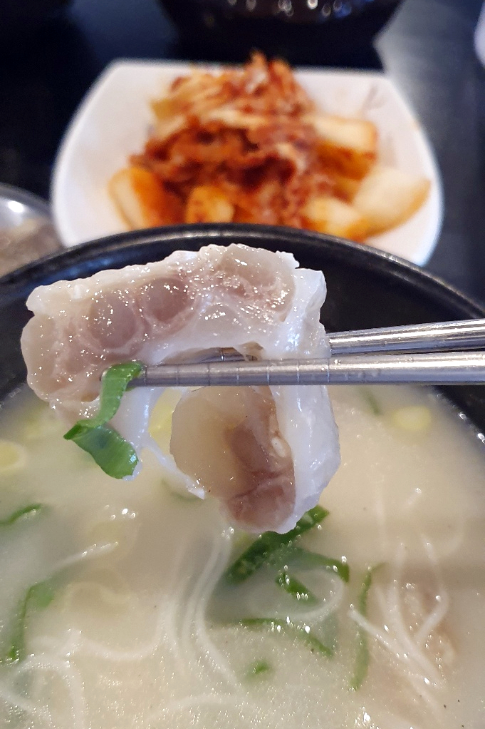  열공하고 해죽순 도가니탕으로 몸보신~