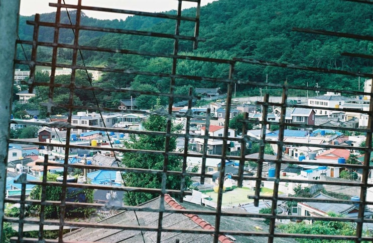  법원은 왜 고유정에게 양육권을 줬나