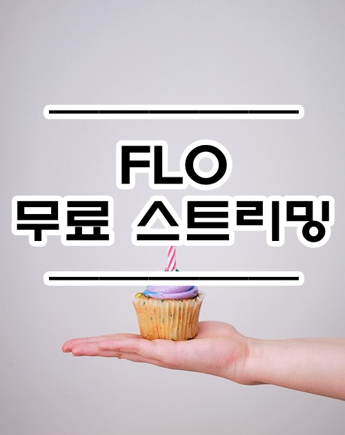 꿀팁 :: SKT [FLO] 스트리밍 무료로 누리자