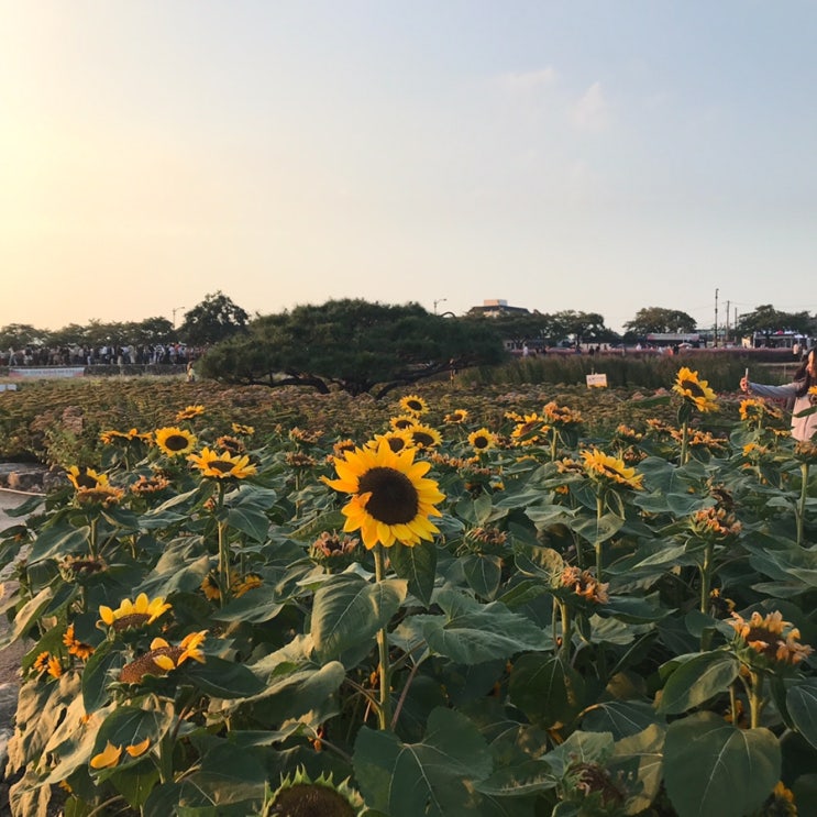  9월 정신없던 한 달간의 일상 대공개