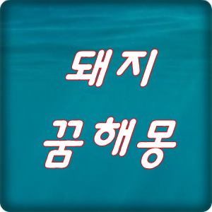  돼지꿈 해몽