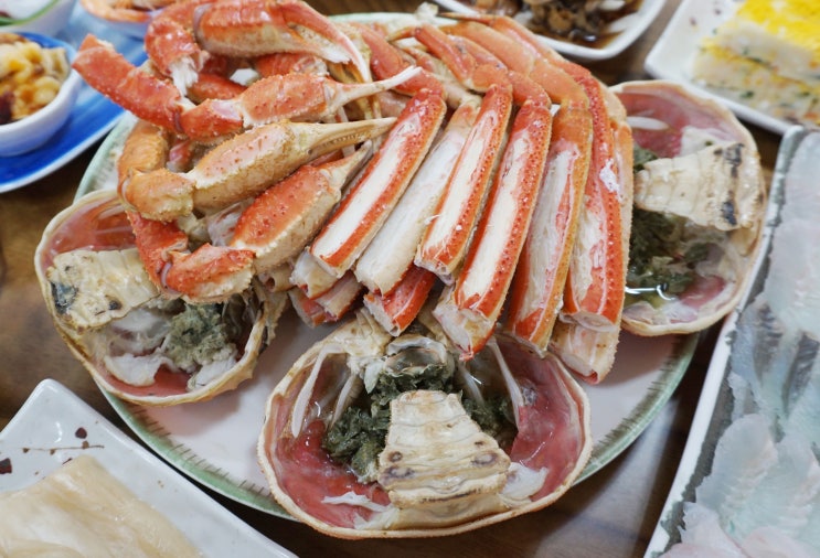  포항 대게 맛집 최불암선생님의 픽!
