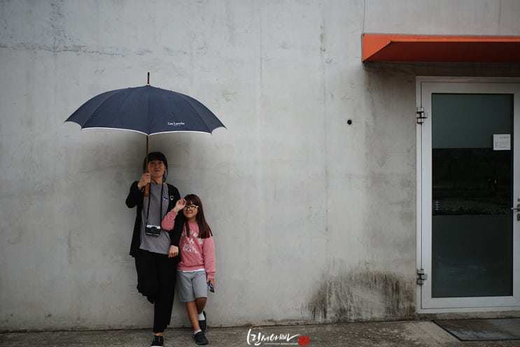  양주시립 장욱진 미술관,리코 gr3