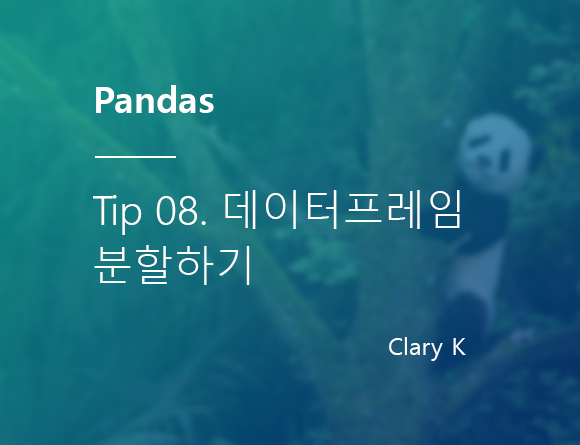 [파이썬] 판다스(pandas) 팁8. 데이터프레임 분할하기