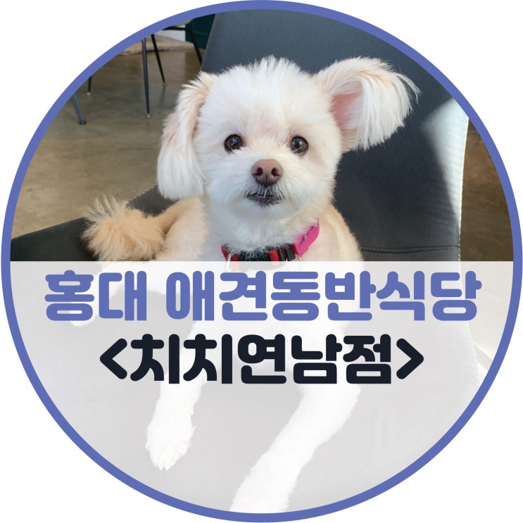  홍대 애견동반식당 <치치연남점>