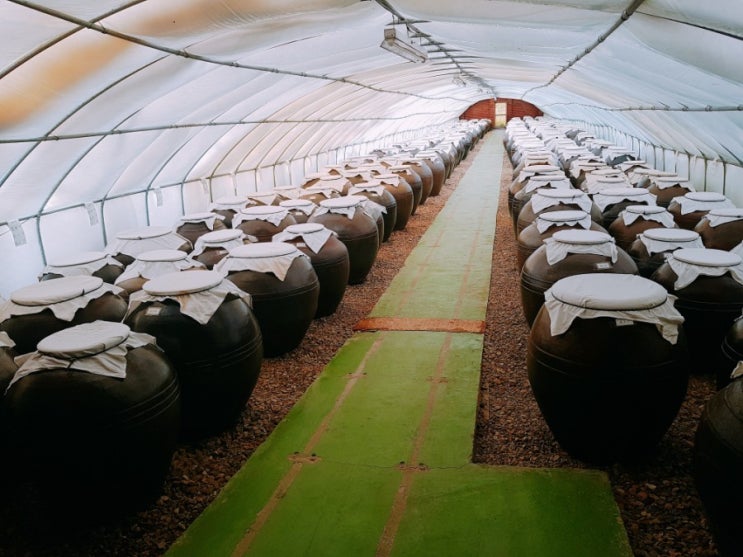장인에게 직접 전수 받은 고추장만들기 체험/한국맥꾸룸