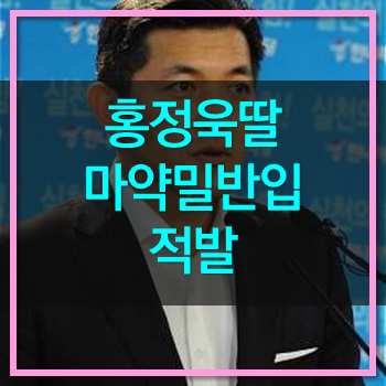  홍정욱 전의원 딸 마약 밀반입 적발! 마약이 뭐길래!