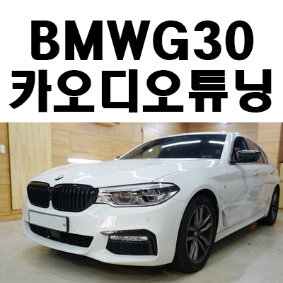BMW G30 5시리즈 회오리 포칼스피커 윌킨스 특가장착기 BMW G30 5시리즈 회오리 포칼스피커 윌킨스 특가장착기