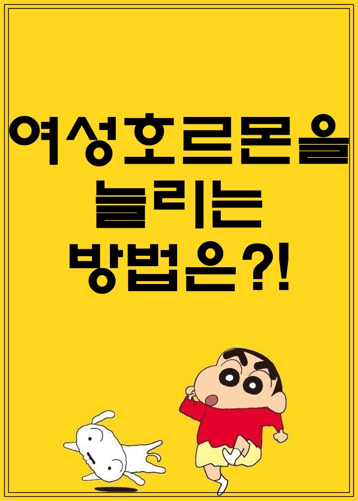  여성호르몬을 늘리는 방법은?!