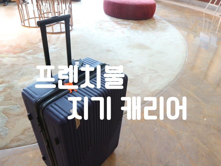  28인치 여행용캐리어, 네오플램 프렌치불 지기 캐리어