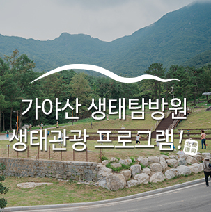  [성주 가볼만한곳] 가야산 생태탐방원, 국립공원공단 숙박형 체험 :: 성주가야산생태탐방원, 성주생태관광체험프로그램, 경북가볼만한곳