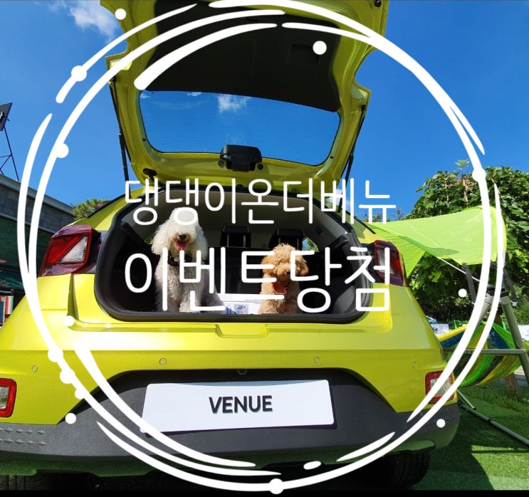  [행사] 현대자동차 댕댕이 온더 베뉴 행사에 당첨되다