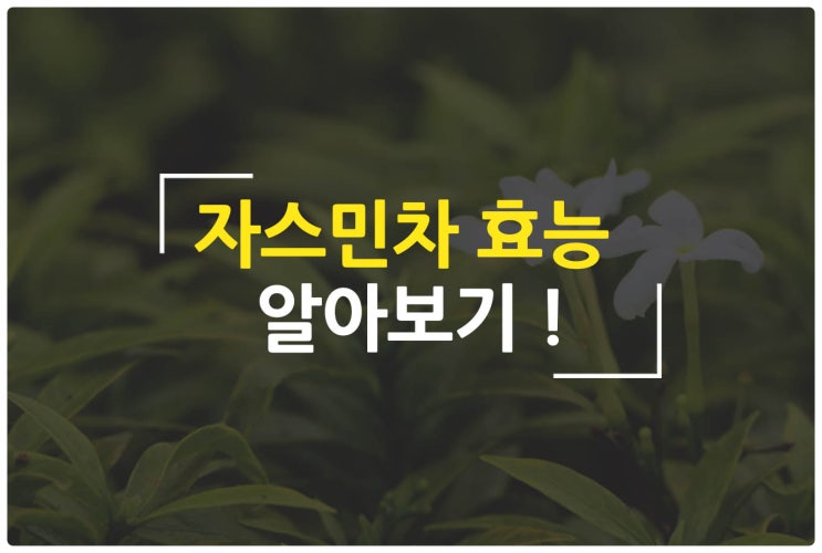  자스민차 효능, 알아보기 !