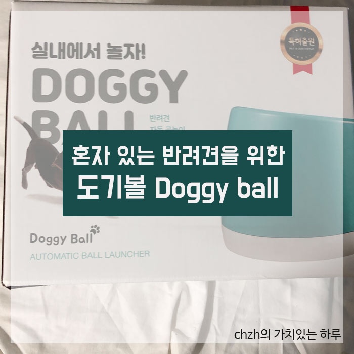 [강아지 공놀이] 자동으로 공이 나오는 “도기볼” doggy ball