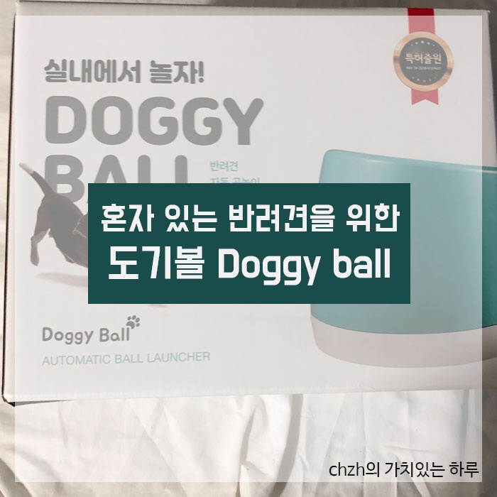  [강아지 공놀이] 자동으로 공이 나오는 “도기볼” doggy ball