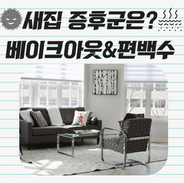  새집증후군 어떻게 해야 하나?(편백수,베이크아웃)